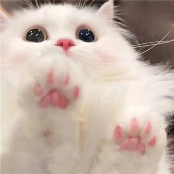 Người dùng Đức Anh